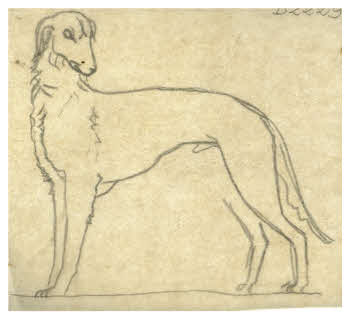 Visualizza l'immagine "FD D 2229"